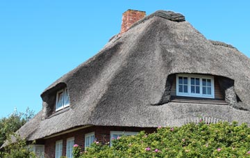 thatch roofing Millfield