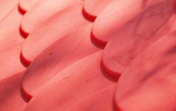 Millfield plastic roof costs